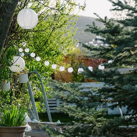 Pihi Vendeghaz 바다초니토마이