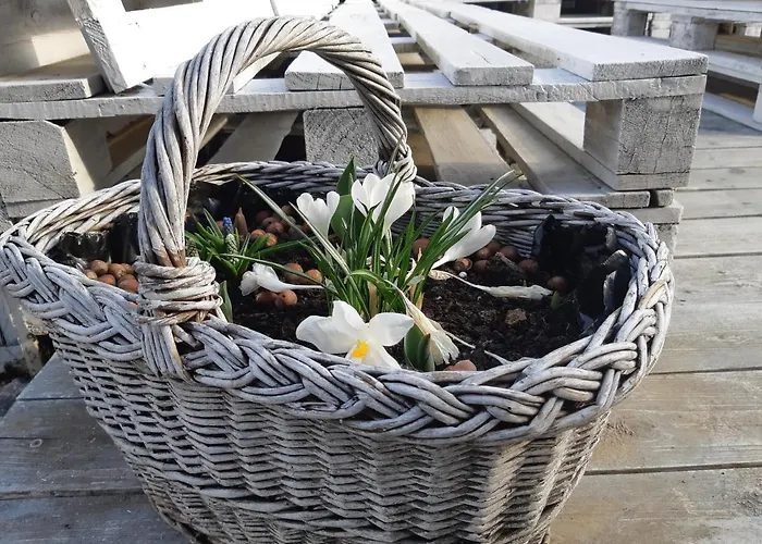 Πανσιόν Pihi Vendeghaz